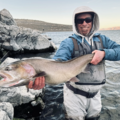 Lahontan Cutthroat — 